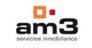 AM3 SERVICIOS  INMOBILIARIOS