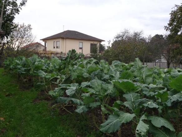 House or chalet for sale in Piñeiros- Freixeiro