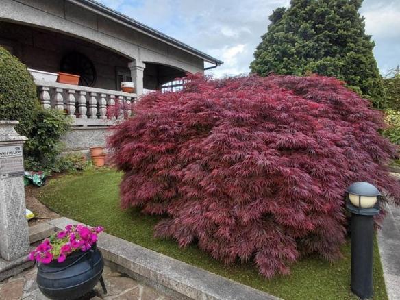 House or chalet for sale on Avenida Rosalía Castro, Liáns