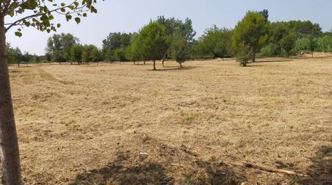 Rustic property for sale on Calle Ca la Peia – Ctra. Verges a Figueres, Verges