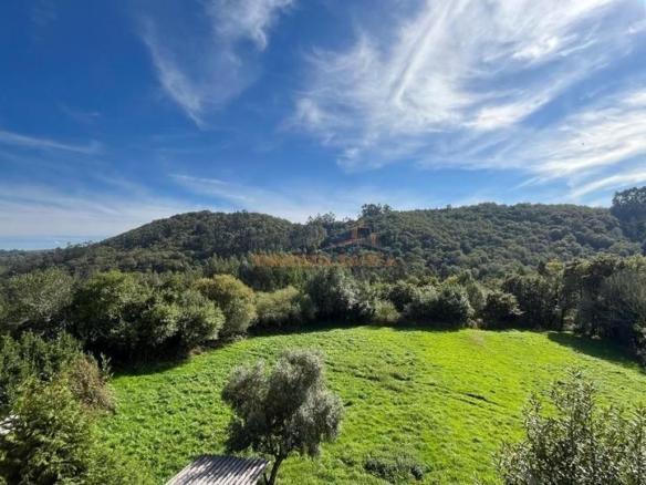 House or chalet for sale in As Somozas