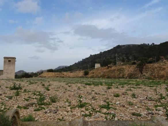 Rustic property for sale in Hondón de las Nieves / El Fondó de les Neus