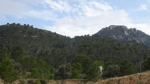 Rustic property for sale in Hondón de las Nieves / El Fondó de les Neus