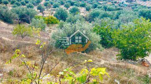 Rustic property for sale in Vélez-Rubio