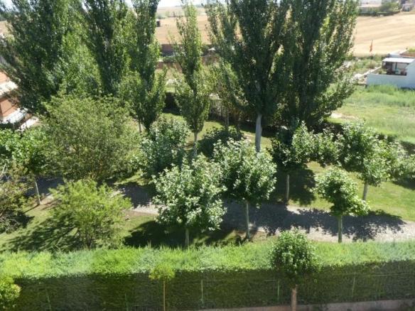 Apartment for sale in Santa María del Campo