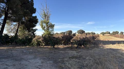 Residential property for sale in a rural area