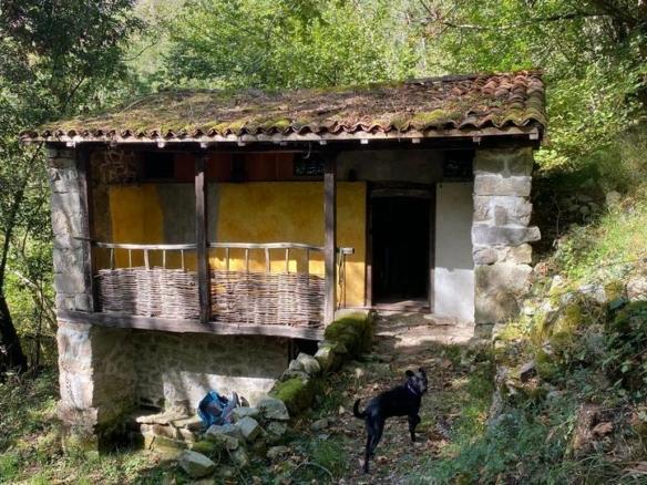 House or villa for sale in Cangas de Onís