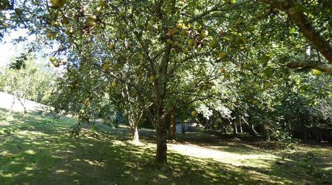 House or villa for sale in Navia