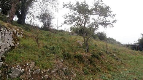 House or villa for sale in Grado