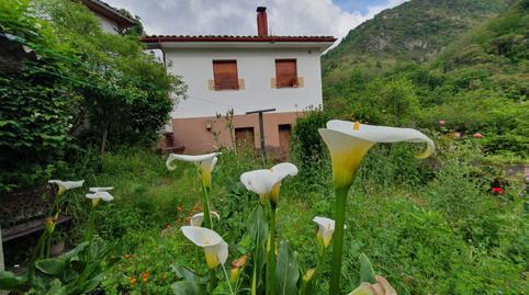 House or villa for sale in Belmonte de Miranda