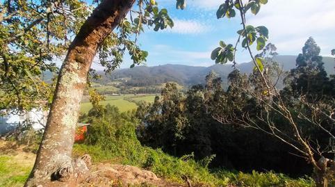 House or villa for sale in Pravia