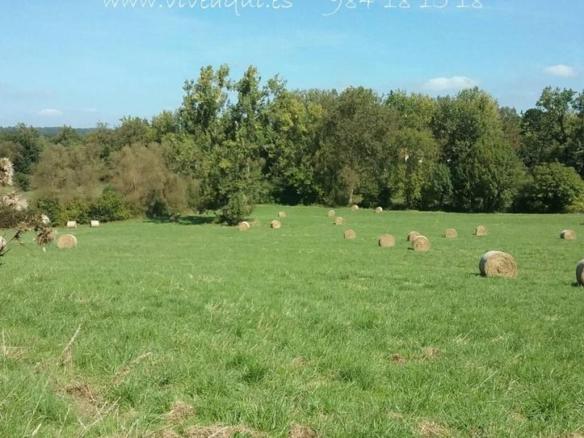 Residential property for sale in Arguelles, Sn, Viella – Granda – Meres