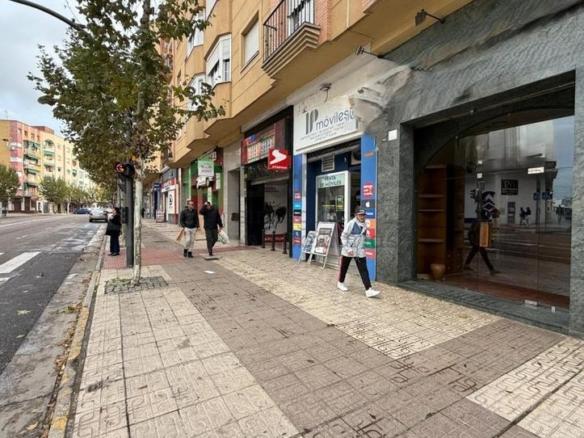 Commercial premises for sale in San Roque – Ronda Norte