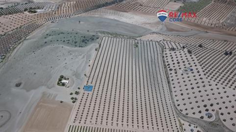 Land for sale in Alange