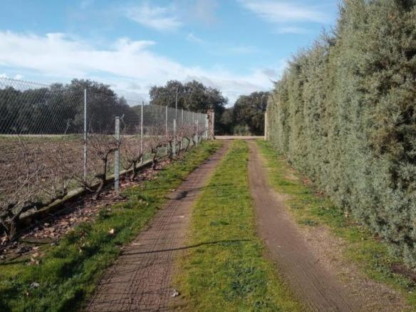 Rustic property for sale in Mirandilla