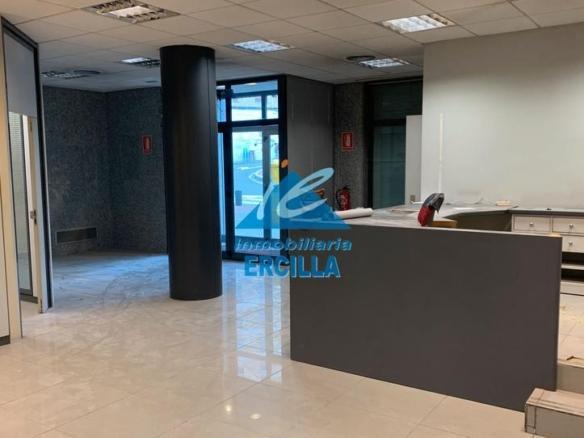 Premises for sale in Severo Ochoa Kalea, 51, Arrigorriaga