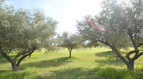 Apartment for sale on Calle Madrid, 19, San Jorge / Sant Jordi
