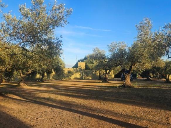 Rustic property for sale in N/a, -1, Canet lo Roig
