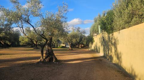 Rustic property for sale in N/a, -1, Canet lo Roig