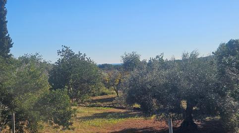 Rustic property for sale in Cervera del Maestre