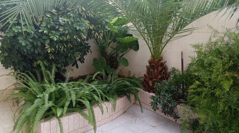 House or villa for sale on Calle Severo Ochoa, Papa Luna area – Platja del Gurugú
