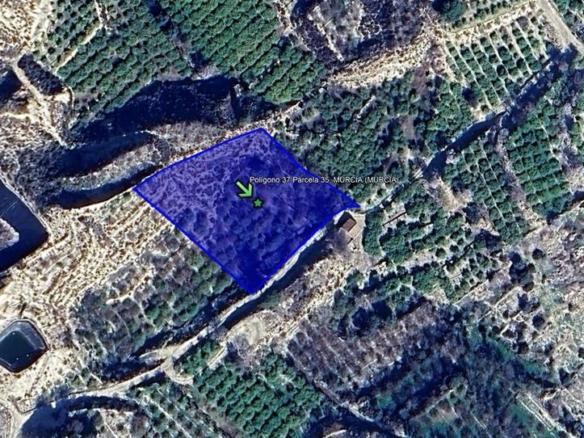 Land for sale in Flix