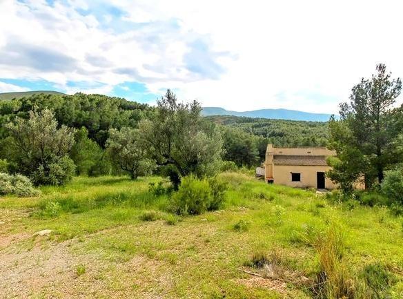 Casa o chalet en venta en C/ Cuatro, Olimar – Carambolo – Atalaya de Levante