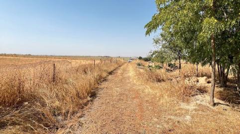 Apartment for sale in Urbanización Atlántico, Parque Atlántico – San Matías