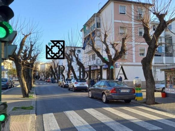 Apartment for sale in the South Sector