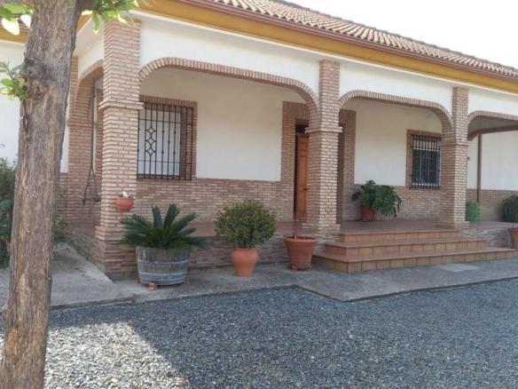 Rustic property for sale in Alcolea