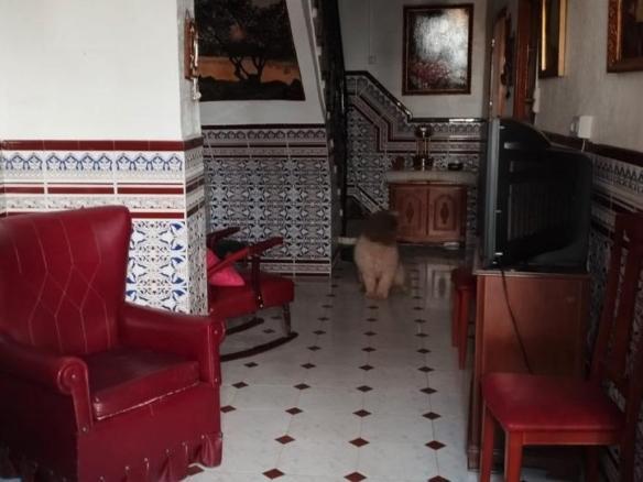 House or villa for sale on Calle Pintor Velazquez, Doña Mencía