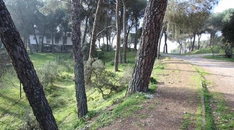 Residential property for sale in Cerro Muriano