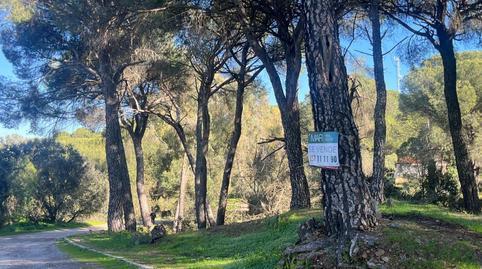 Residential property for sale in Cerro Muriano