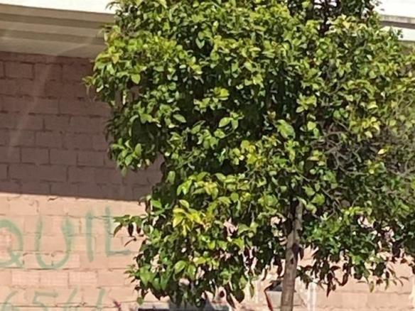 Commercial premises for sale in Huerta de la Reina – Trassierra