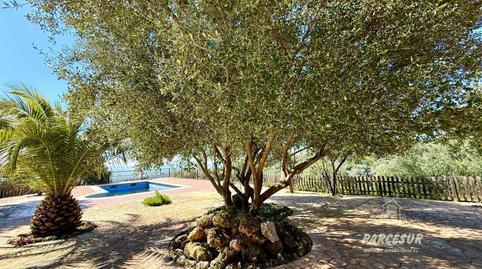 House or villa for sale in Almodóvar del Río