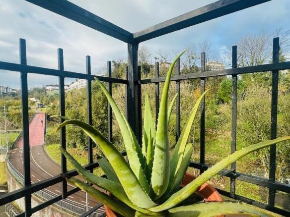 Apartment for sale in Altza