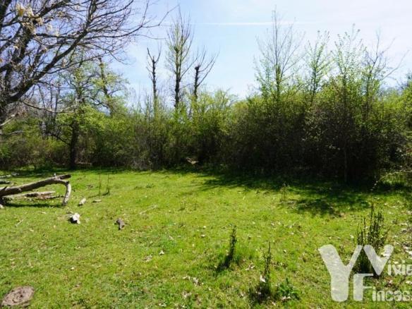 Terreno en venta en Calle Cortes, 1, Campillo de Ranas