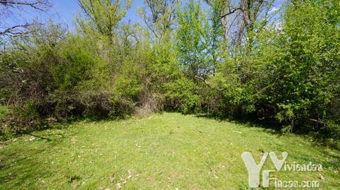 Terreno en venta en Calle Cortes, 1, Campillo de Ranas