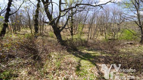 Terreno en venta en Calle Cortes, 1, Campillo de Ranas