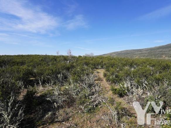 Terreno en venta en Calle Cortes, 1, Campillo de Ranas
