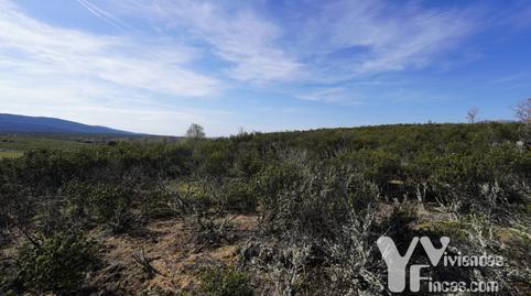 Terreno en venta en Calle Cortes, 1, Campillo de Ranas
