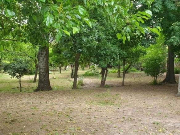 House or villa for sale in Mingorría