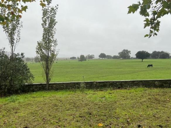 Land for sale on Carretera de Madrid, Lanzahíta