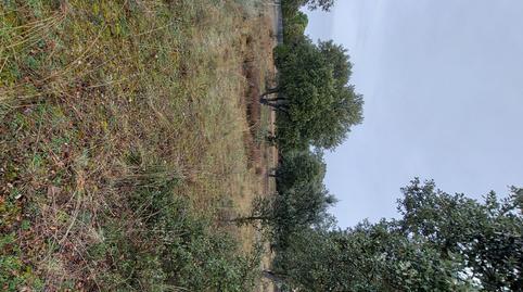Residential property for sale in Maello