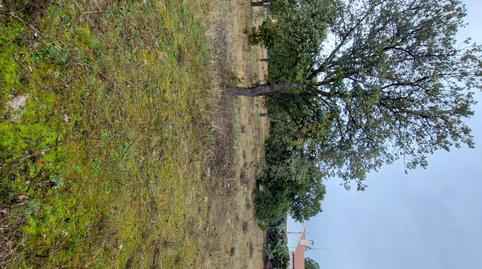 Residential property for sale in Maello