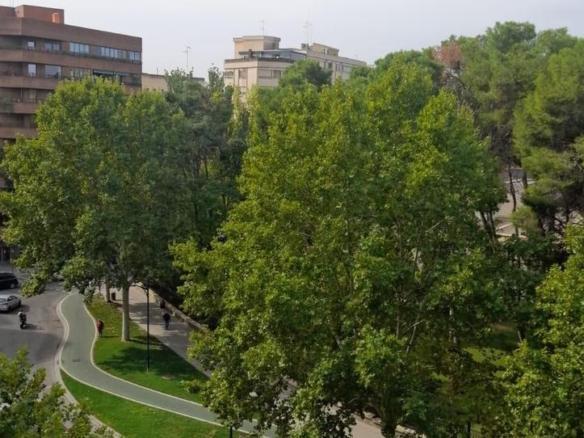 Apartment for sale in the city center