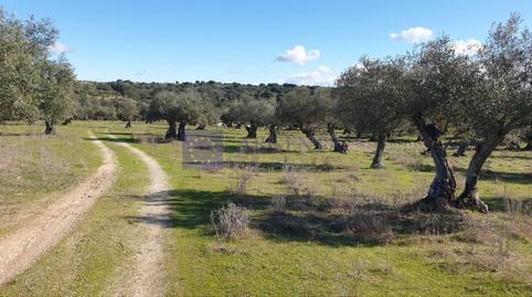 House or villa for sale in Diseminados S Miguel, Alcántara