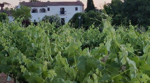 House or chalet for sale in Fn Viñas Matacaceres (cáceres), -1, Ruta de la Plata