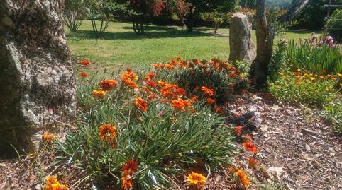 Rustic property for sale in Diseminado el Turcal, 1, Torremenga