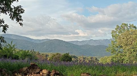 Land for sale in Ex-203, Villanueva de la Vera